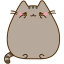 pusheenuwu