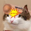 nyanbonk