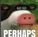 WA_Perhaps