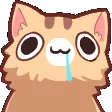 Derpcat Discord Emoji