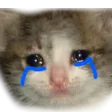 cry