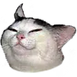 smug