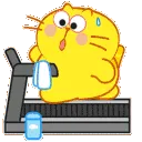 cat_run cat_run