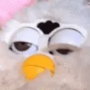 furbyBruh furbyBruh