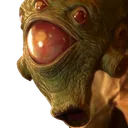 meme_pogVort