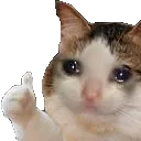 cat_cryingthumbs