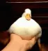 Ducc Ducc
