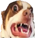 DemonDog DemonDog