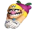 wario wario