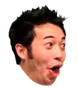 pog