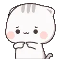 okitty_shy