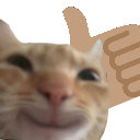 upswag Discord emoji