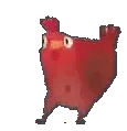 chicken4