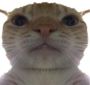 catbruh Discord emoji