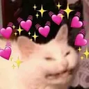 catheart