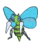 beedrill beedrill