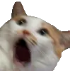 zmoar2