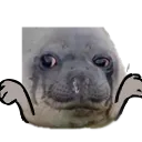 laesshrug