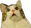 WoahCat