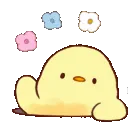 duckhi