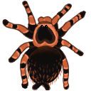 smithi Discord emoji