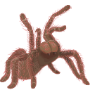 threatpose Discord emoji