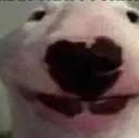 WalterSadist