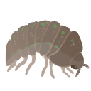avulgare Discord emoji