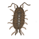 afloridana Discord emoji
