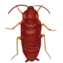 redrunner Discord emoji