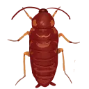 redrunner Discord Emoji