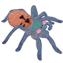 kewt Discord emoji