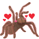 grammohug Discord emoji