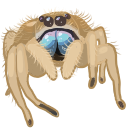 regius Discord emoji