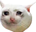 UvaCatCry