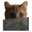 Lurk