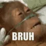 BruhMonkey