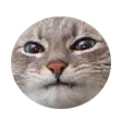 circlest