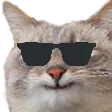 sunglassest
