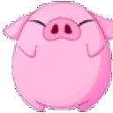 pig
