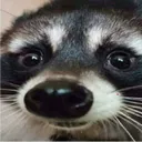 WHY
