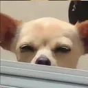 emoji_25 emoji_25
