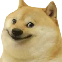 dogesmile