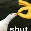 shut