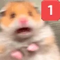 MCHamsScaredPing