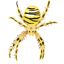 orbweaver Discord emoji