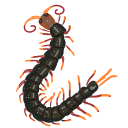 centipede Discord emoji