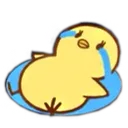 1piou