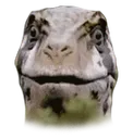 sergiconfused