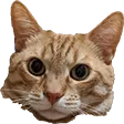 hawksl2JONESY